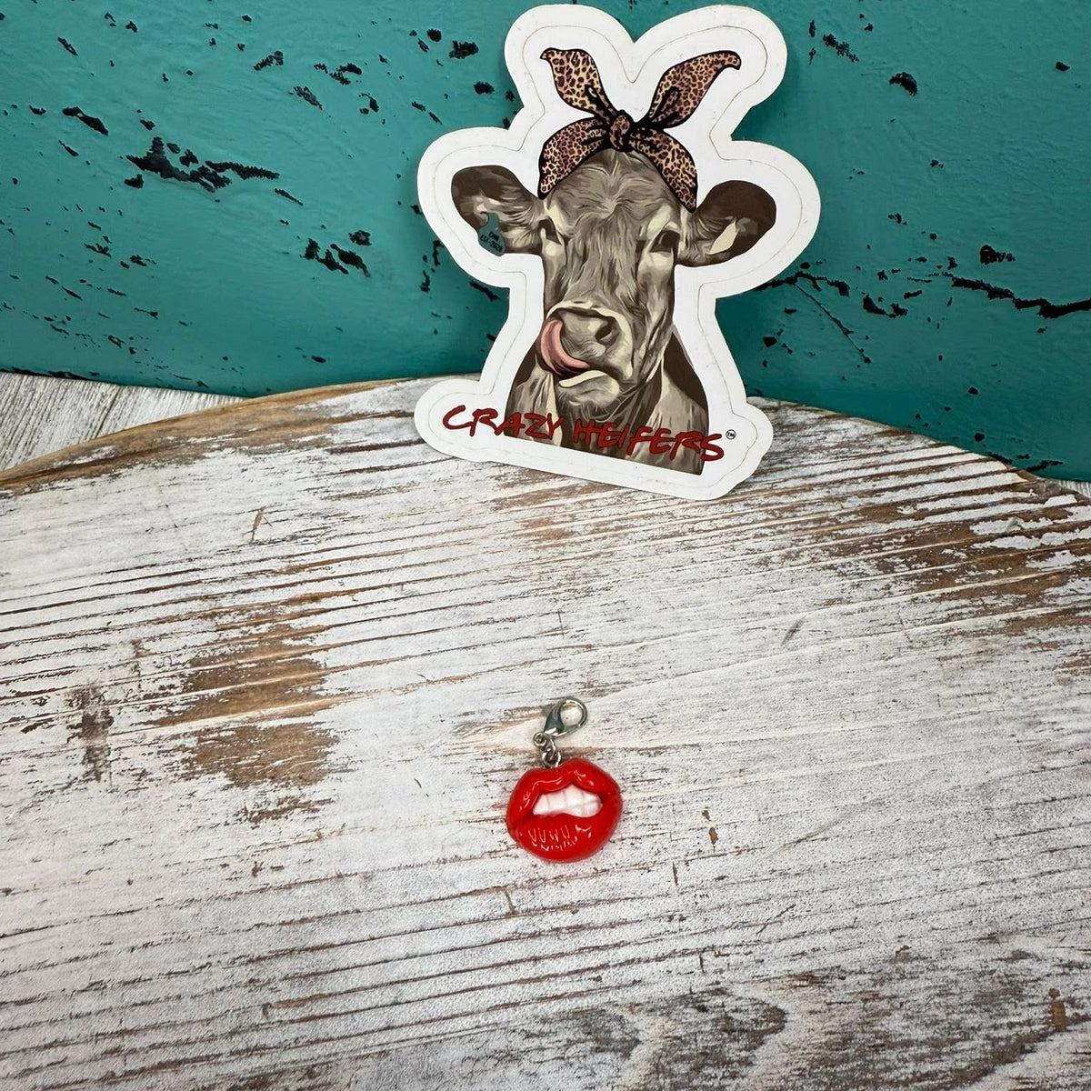 Clip-on Charms Gold and Silver Tone V7