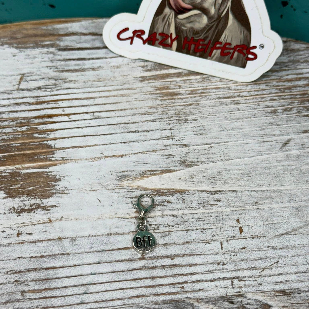 Clip-on Charms Gold and Silver Tone V7