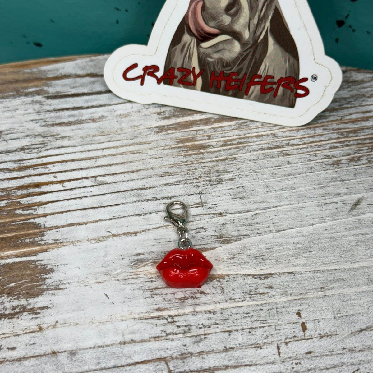 Clip-on Charms Gold and Silver Tone V7