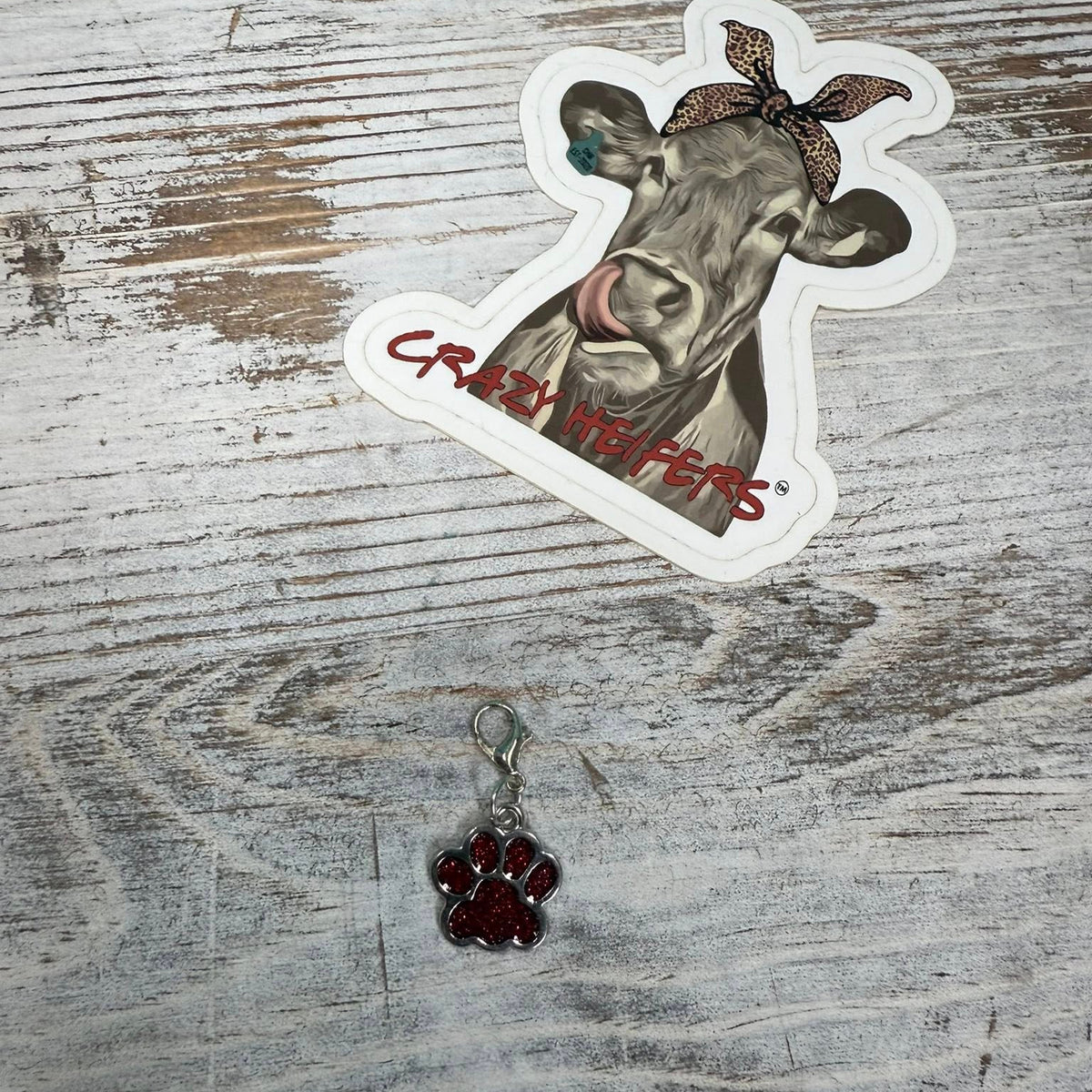 Clip-on Charms Silver Tone V6- Paws