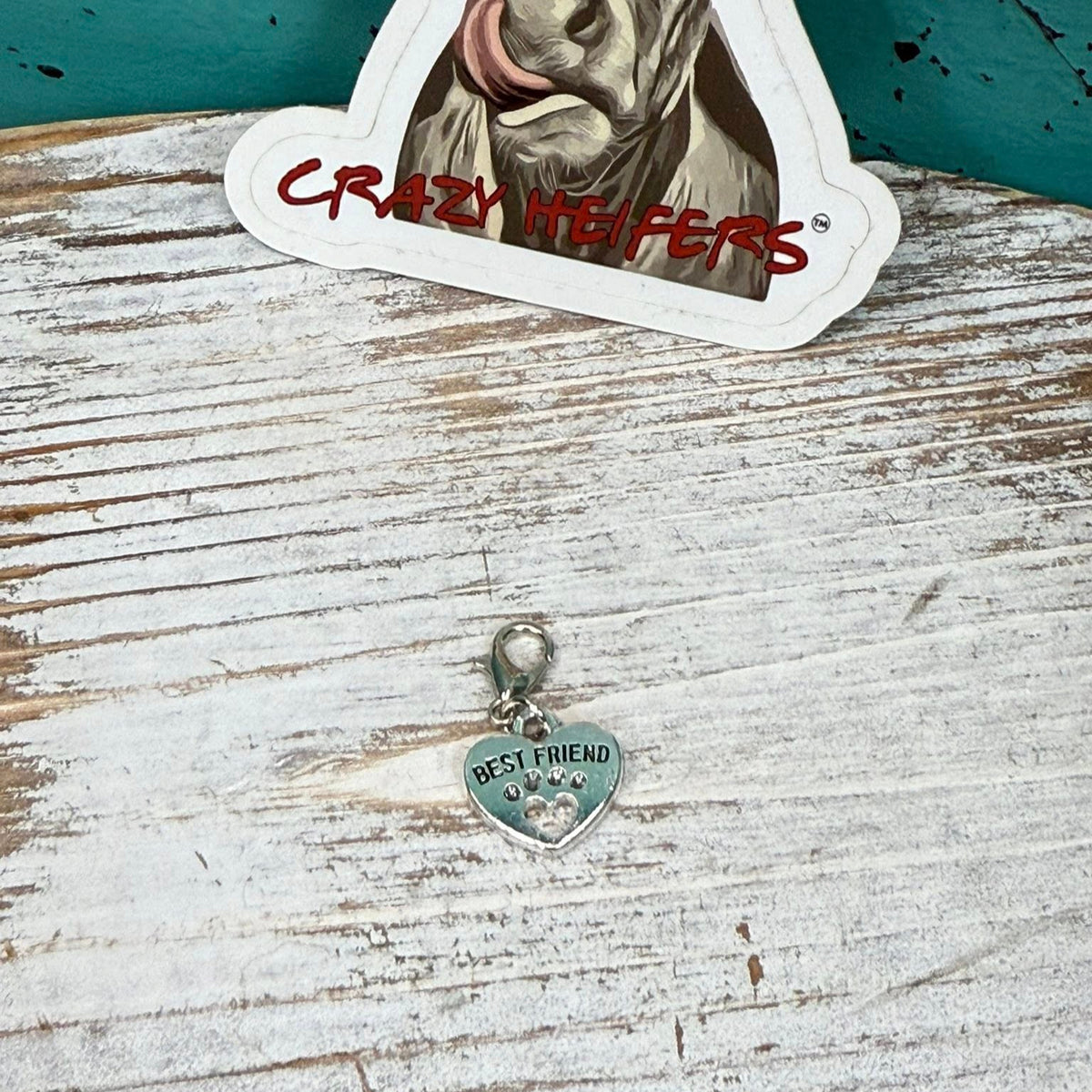 Clip-on Charms Gold and Silver Tone V7