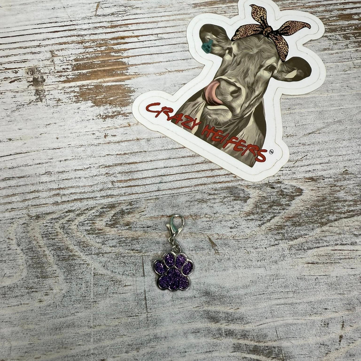 Clip-on Charms Silver Tone V6- Paws