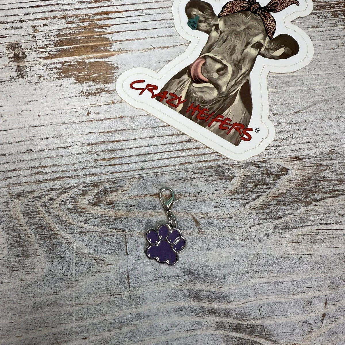 Clip-on Charms Silver Tone V6- Paws