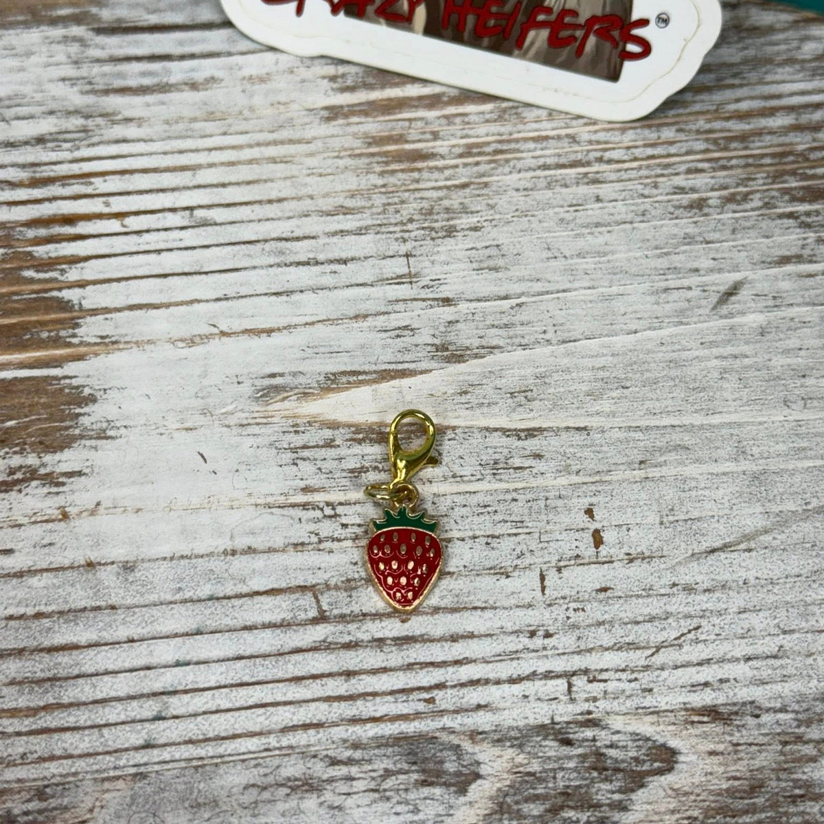 Clip-on Charms Gold and Silver Tone V7