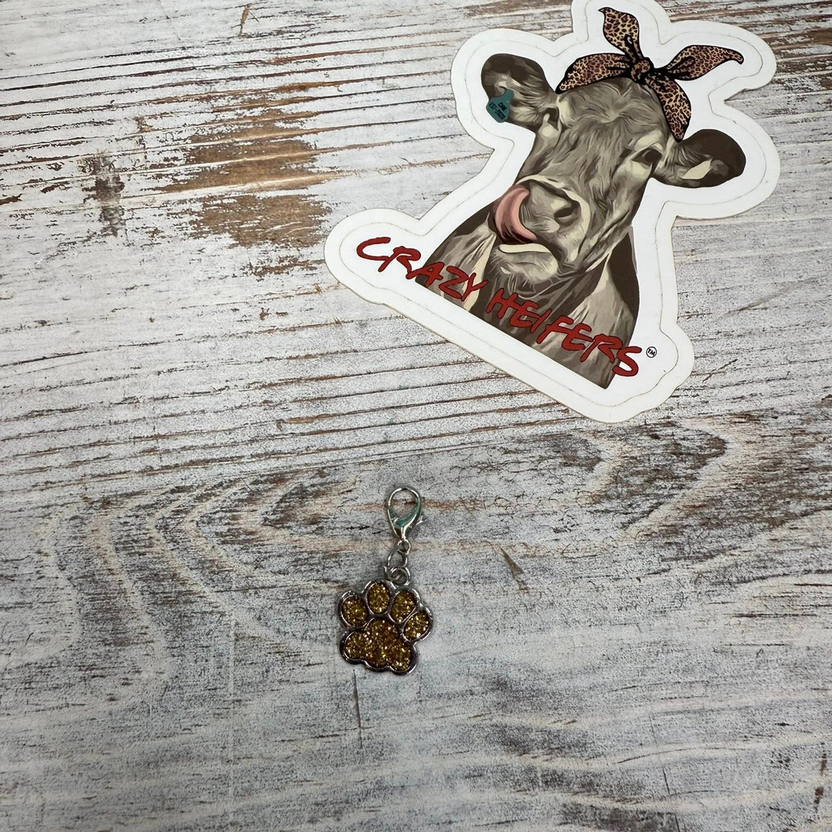 Clip-on Charms Silver Tone V6- Paws