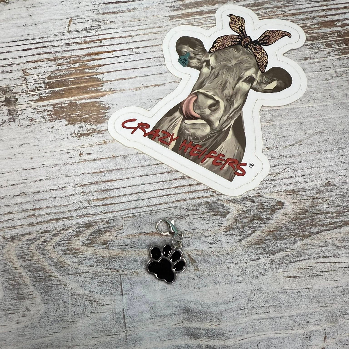 Clip-on Charms Silver Tone V6- Paws