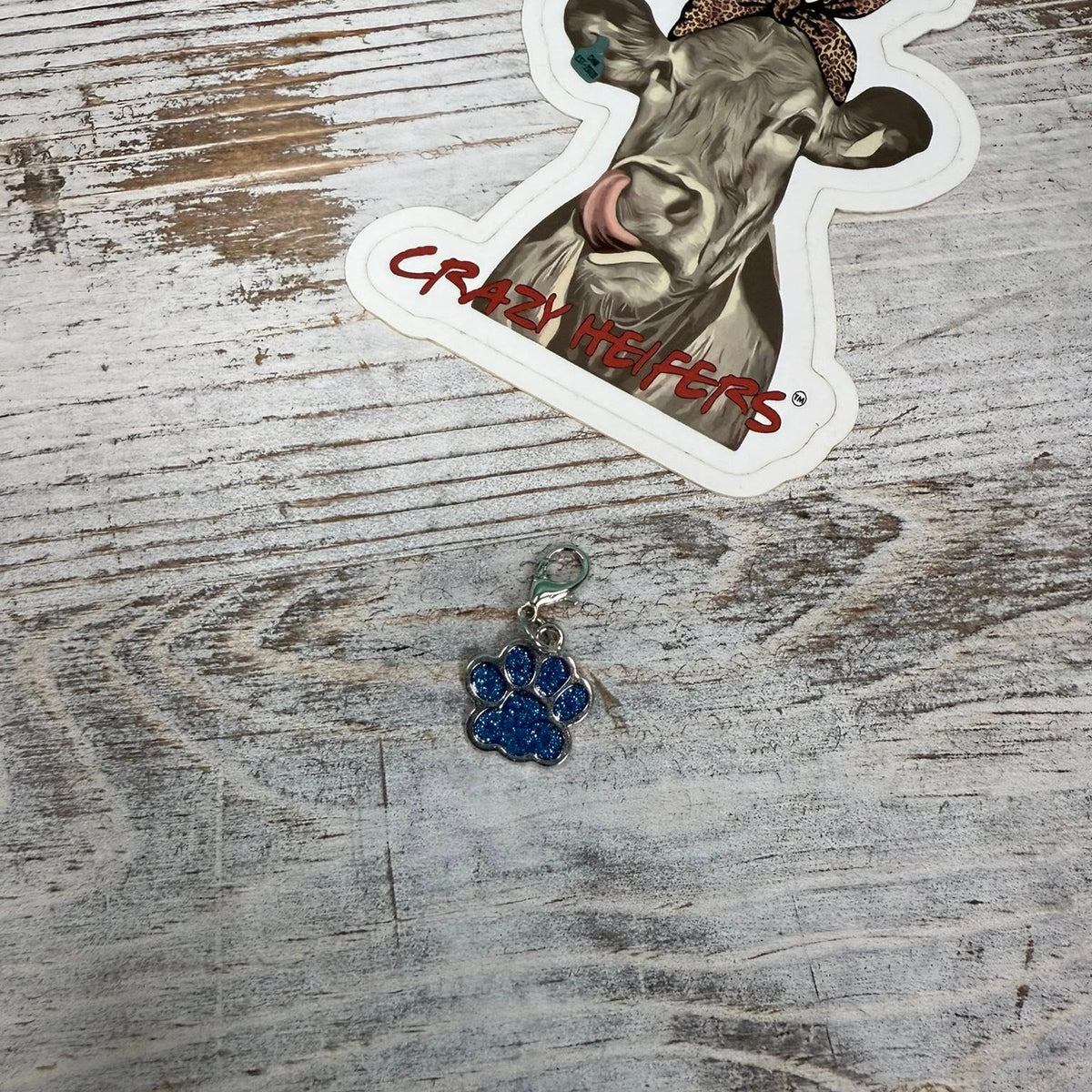 Clip-on Charms Silver Tone V6- Paws