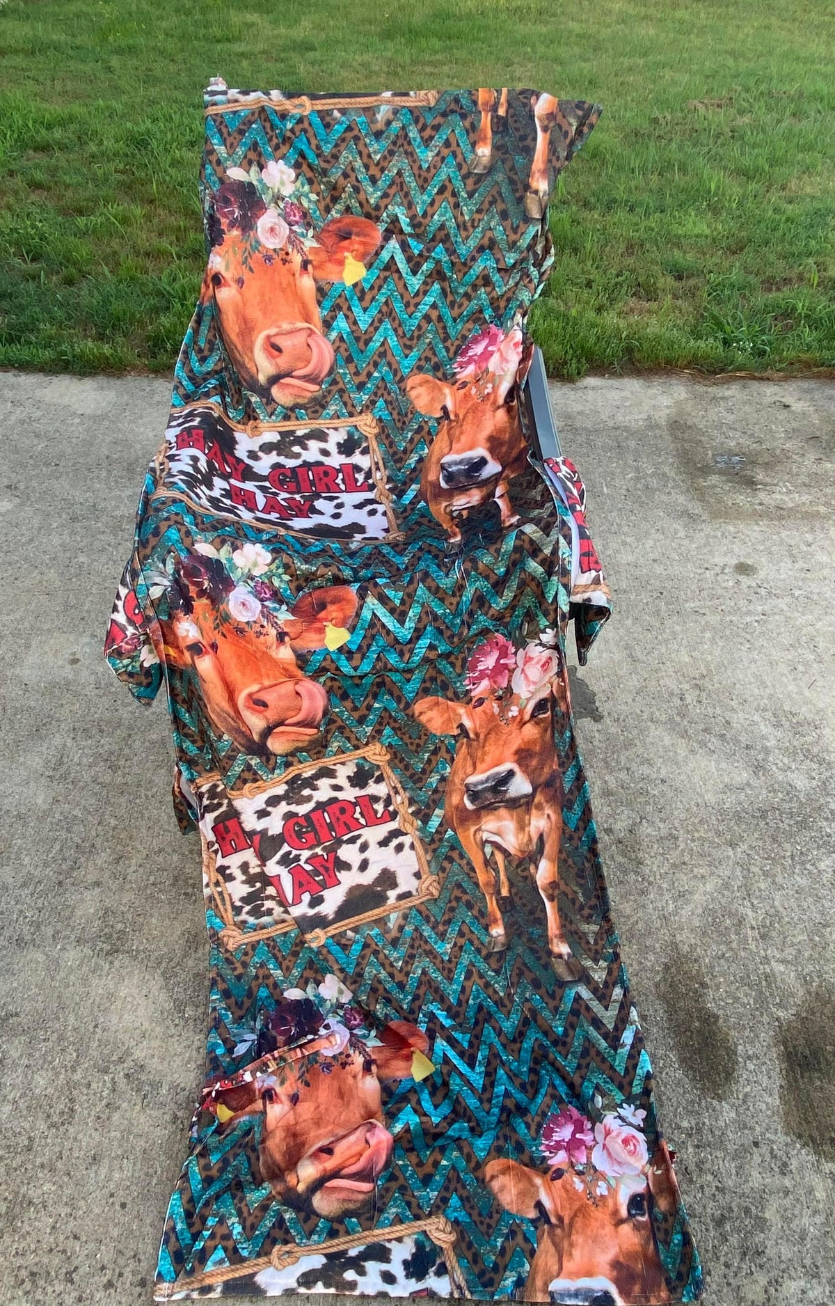 Beach Chair Cover/Bag